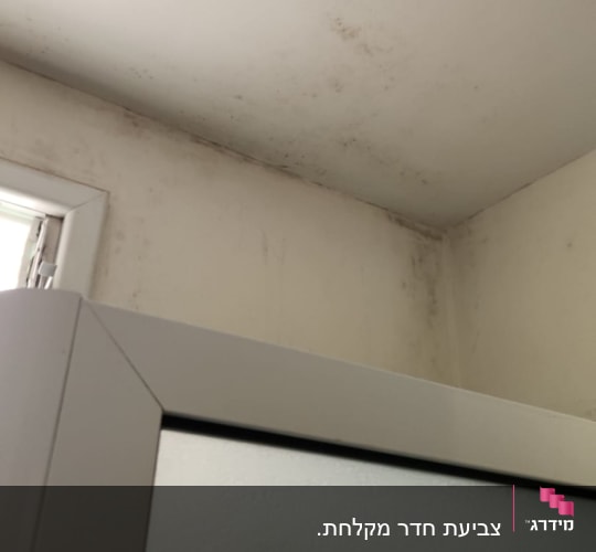 תקרה עם כתמי רטיבות ועובש